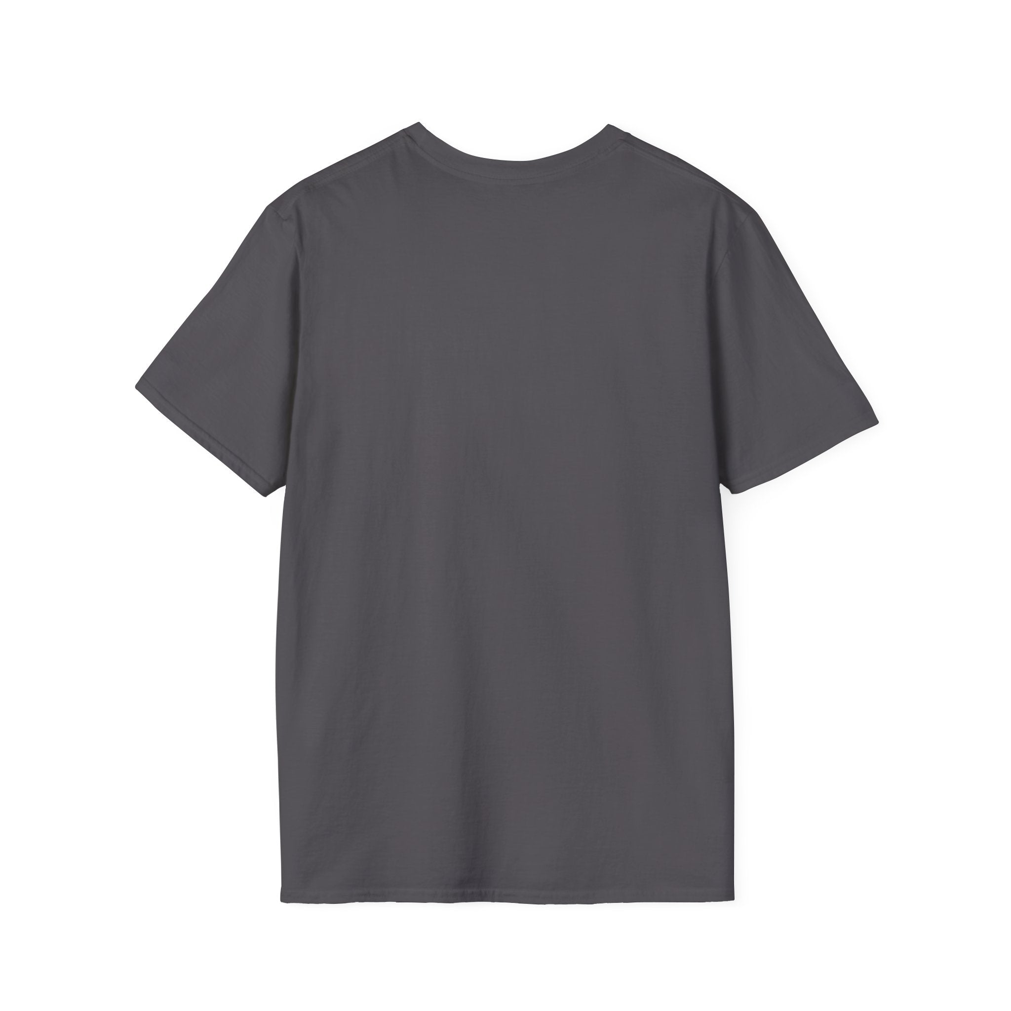 Racoon Teacher T-shirt